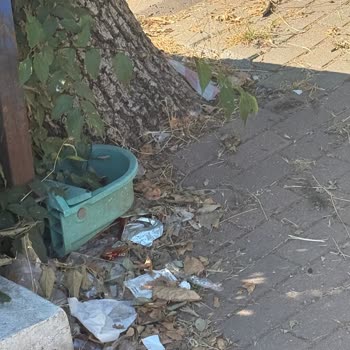 İstinye Mezarlığı Temizlenmeli: Çöpler Ve Hijyen Sorunu