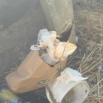 İstinye Mezarlığı Temizlenmeli: Çöpler Ve Hijyen Sorunu