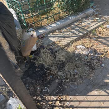 İstinye Mezarlığı Temizlenmeli: Çöpler Ve Hijyen Sorunu