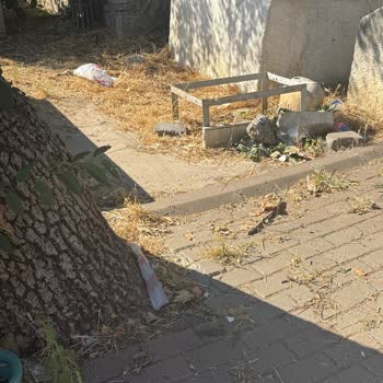 İstinye Mezarlığı Temizlenmeli: Çöpler Ve Hijyen Sorunu