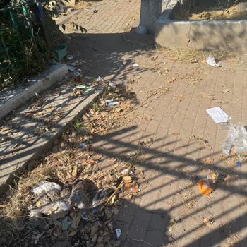 İstinye Mezarlığı Temizlenmeli: Çöpler Ve Hijyen Sorunu