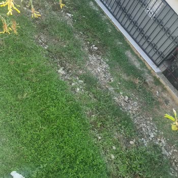 Kuşadası Soğucak’ta Tuzlu Su Nedeniyle Sürekli Su Baskınları Ve Altyapı Sorunları