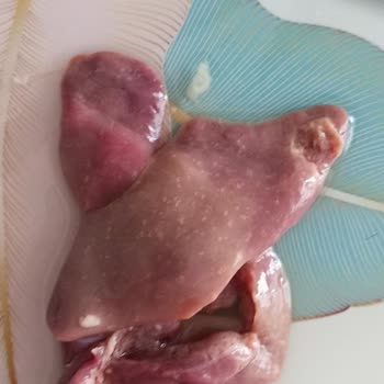 Banvit Paletli Ciğerde Şüpheli Beyaz Lezyon Ve Salmonella Riski Acil İnceleme Ve Geri Çekme Talebi