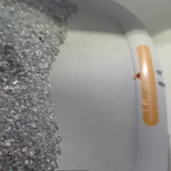Xenon Smart Akıllı Kedi Tuvaleti Sorunlu, Bir Zaman Sonra Bozuluyor!