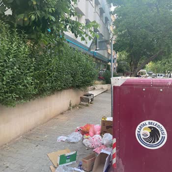 A101 Şubesinin Çöplerini Sokaklara Bırakması Çevre Kirliliğine Sebep Oluyor Acil Çözüm Bekleniyor