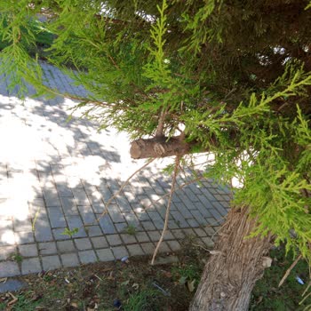 Fıstıklı Parkı’nda Çocuğum Kafasından Yaralandı, Güvenlik Ve Tazminat Talep Ediyorum