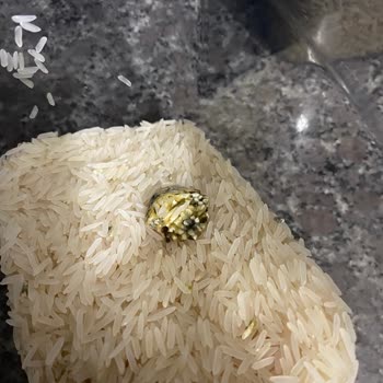 A101’den Yeşil Basmati Pirinç Sorunu Ve Hijyen İhmalı