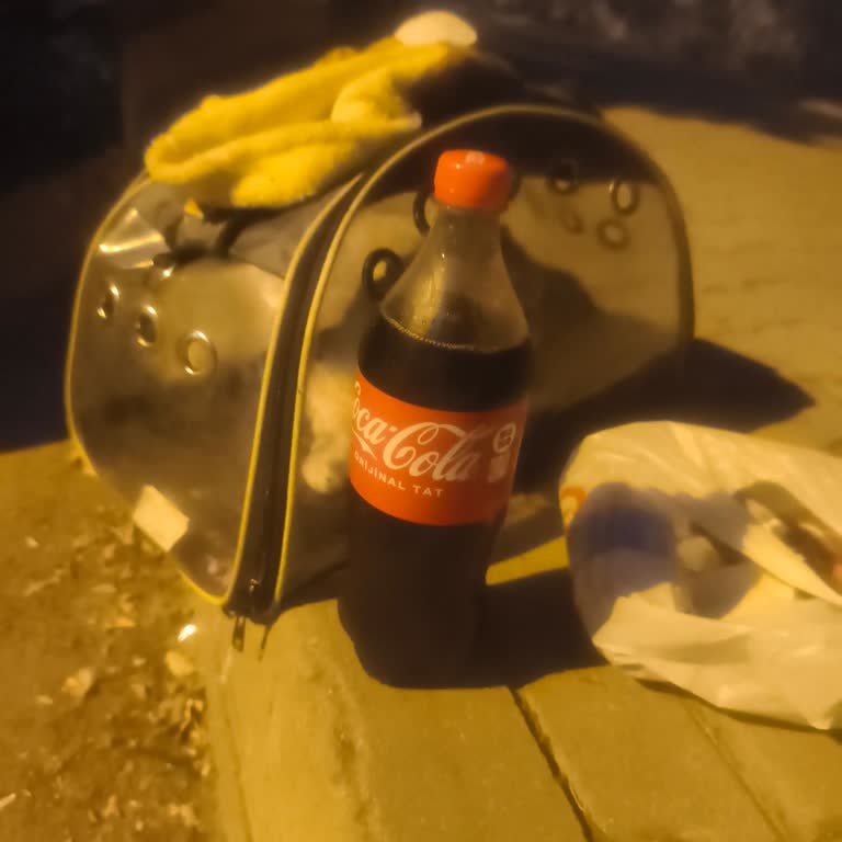 Migros Personelinin Kedi İle Alışverişteki Kaba Üslubu