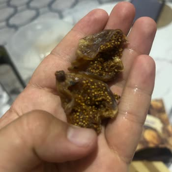 Çerezya Markalı Kuru İncirde Küflenme Ve Güvelenme, İade Reddi