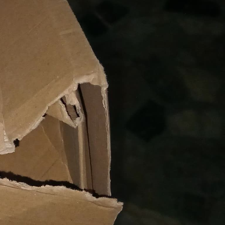 Kırık Kargo, Eksik Ayakkabı Ve Yetkisiz Teslimat Şikayeti
