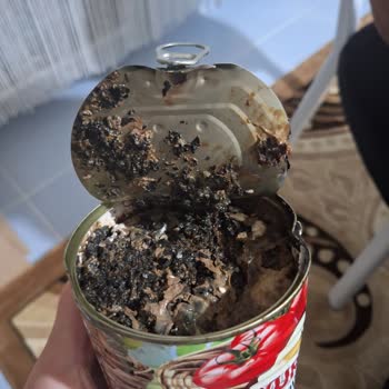 Simsiyah Ve Küflü Salça Ürünü İçin İade Talebi Ve Kalite Kontrol İsteği