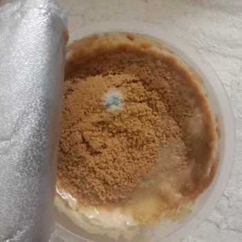 Şok Marketler Tarihi Henüz Geçmemiş Bir Üründe Böyle Bir Bozulma Olması