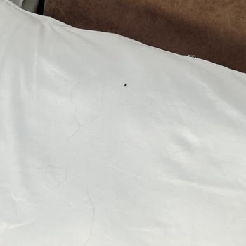 Böceklerle Dolu Bahçe, Sürekli Tamir Gürültüsü Ve İade İsteğinde Cevapsızlık