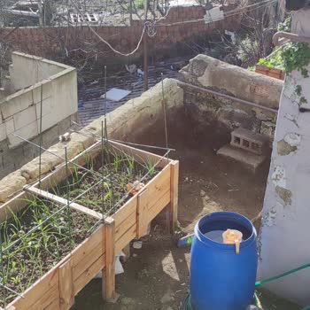 Kabloların Yetersiz Derinliği Ve Kısa Direk Çocuk Ve Evcil Hayvan Güvenliğini Tehdit Ediyor