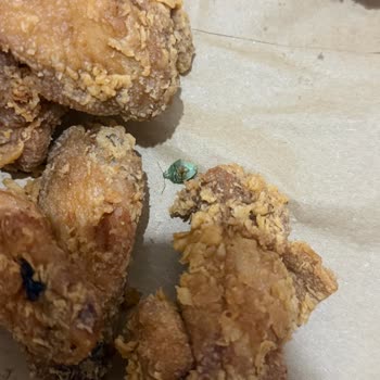 Popeyes Şubesinde Geciken, Yanlış Ve Böcekli Sipariş İçin Tam İade İsteği