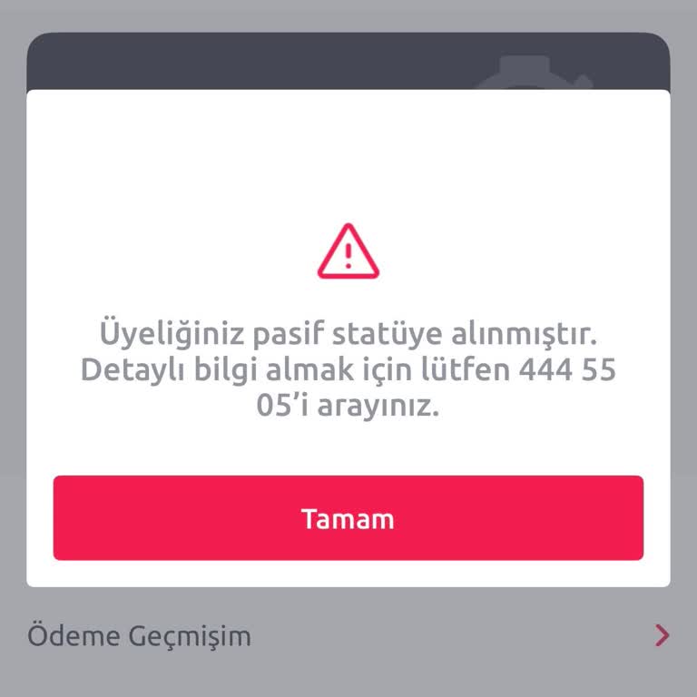 Pasif Görünen Tiktak Hesabım İçin Açıklama Ve Aktif Etme Talebi