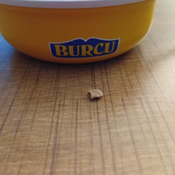 Burcu Konserve Aşurede Taş Bulunması Güvenimi Sarsıyor