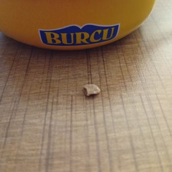 Burcu Konserve Aşurede Taş Bulunması Güvenimi Sarsıyor