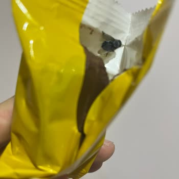 Eti Popkek Mini Ambalajında Sinek Tespiti