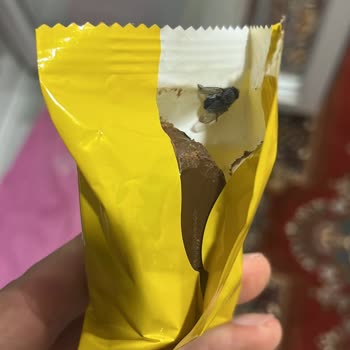 Eti Popkek Mini Ambalajında Sinek Tespiti