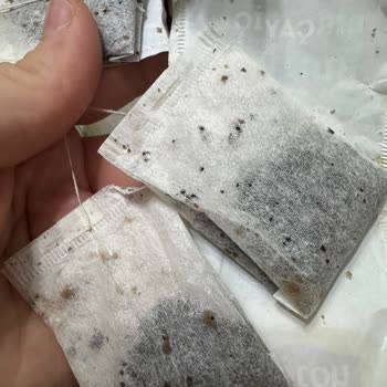 Lipton Earl Grey Çay Poşetinde Küflenme Ve Böceklenme Şikayeti