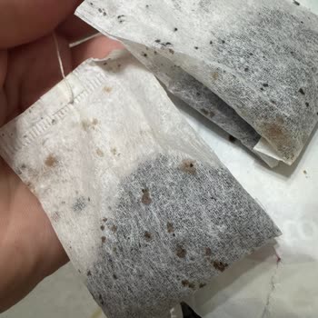 Lipton Earl Grey Çay Poşetinde Küflenme Ve Böceklenme Şikayeti