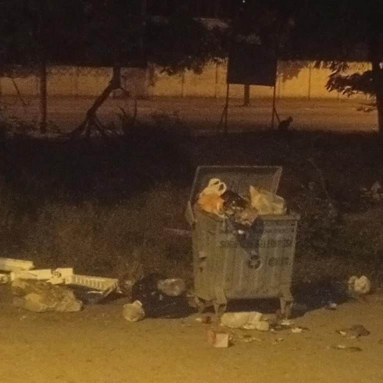 Kardelen Sitesi Çöp Konteynerleri Sürekli Dolu, Koku Ve Böcek Sorunu