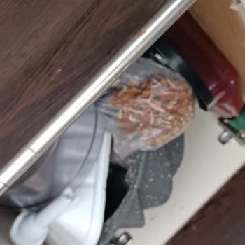 Ekşioğlu Nakliyat’ta Ek Ücret Talebi Ve Eşyalarımın Hasar Görmesi