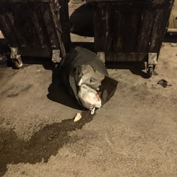 Tatlı Üretim Yerinden Gelen Koku Ve Atık Sorunu Mahallede Sağlık Endişesi Yaratıyor