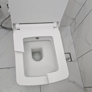 Kısa Sürede Kırılan Seramiksan Luna Klozet Kapağı İçin Garanti Değişim Talebi