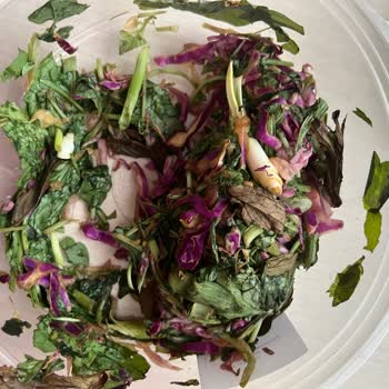 Bozuk Salata Ve Yumuşamış Pancar Gıda Güvenliği Sorunu