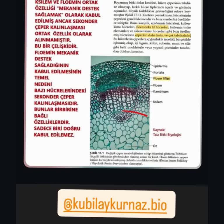 YKS AYT Biyoloji 40. Sorunun Çift Cevaplı Olması Ve İptal Talebi