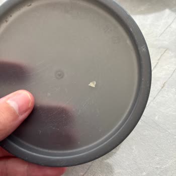 Deva Çiftliği Fıstık Ezmesinin İçinden Cam Benzeri Sert Taş Parçaları Çıktı