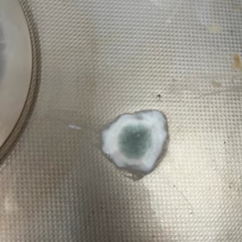 Migros’ta Nilky Yoğurdunda Küf Görüldü İade Ve Özür Talebi