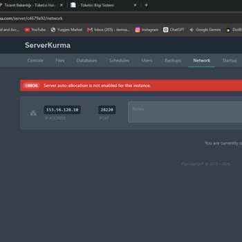 Satın Aldığım Rust Sunucusu Ryzen 9 5900X Donanımı Ve Port Açılmaması Sorunu