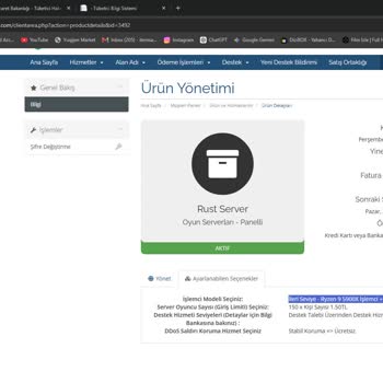 Satın Aldığım Rust Sunucusu Ryzen 9 5900X Donanımı Ve Port Açılmaması Sorunu