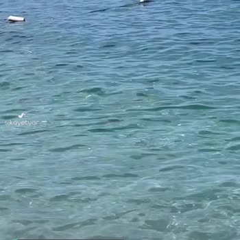 Orange County Kemer Deniz Çok Kirli