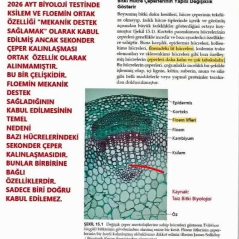 Biyoloji 40. Sorunun Çift Doğru Cevap İddiası Ve ÖSYM’nin Tek Seçenek Değerlendirmesi
