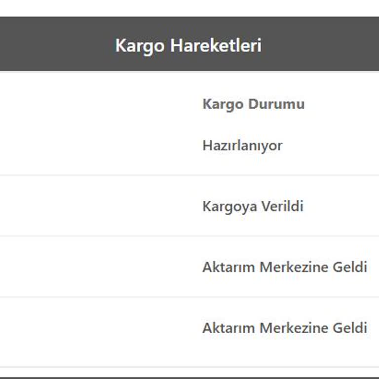 Bir Günde Kargo Teslimat Sorunu!