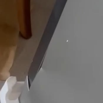 Ayıplı Bulaşık Makinesi Teslimatı Ve Şirketler Arası Yönlendirme Sorunu
