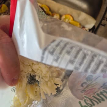 Küflü Mozzarella Peyniri Üzerine Gıda Güvenliği Şikayeti Ve İade Talebi