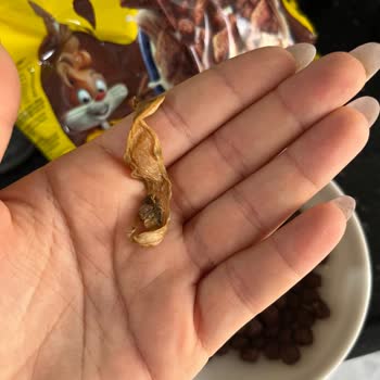 Nestle Nesquik Mısır Gevreğinde Yabancı Madde Ve Hijyen Endişesi