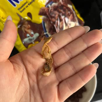 Nestle Nesquik Mısır Gevreğinde Yabancı Madde Ve Hijyen Endişesi