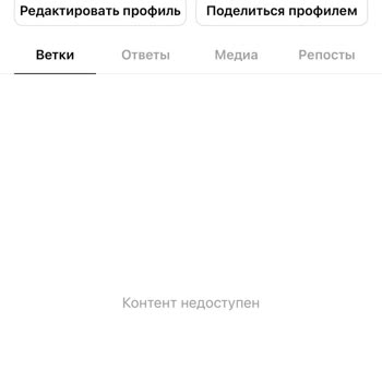Threads не работает на iPhone – приложение не загружается уже более двух недель