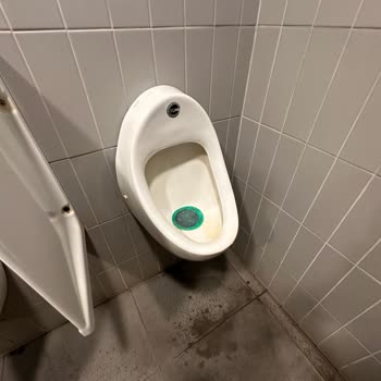 Kirli Tuvalet Ve Uzun Bekleme Süresiyle Hayal Kırıklığı