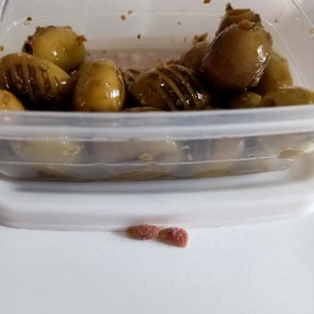 BİM İnci Çekirdeksiz Zeytin İçinde Çekirdek Çıktı, Dişim Şiddetli Ağrıdı