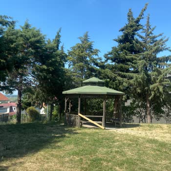 Parkın Bakımsızlığı ve Güvenlik Sorunları