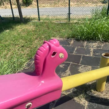 Parkın Bakımsızlığı ve Güvenlik Sorunları