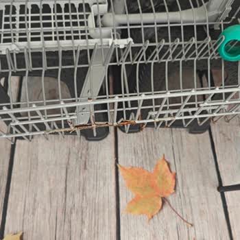Bulaşık Makinesi Sepetlerinde Küflenme, Ücretsiz Garanti Değişimi Talebi