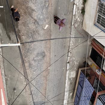 İzsu Kazı Alanını Betonla Kapatmaması Çocukları Ve Sokak Hijyenini Tehlikeye Atıyor